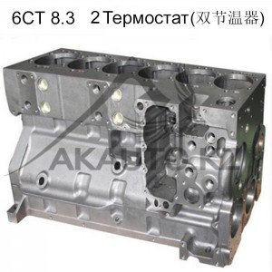 Блок 6СТ - 2Термостат 