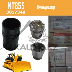  Поршневая группа NT855