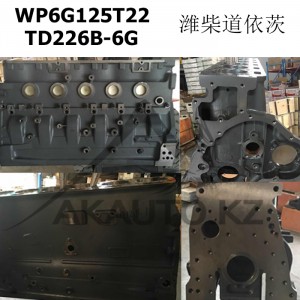 Блок WP6G125T22 / TD226B-6G